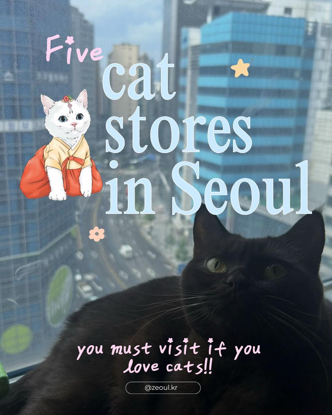 조이 ⊹ ࣪ ˖, Hangong-Gan