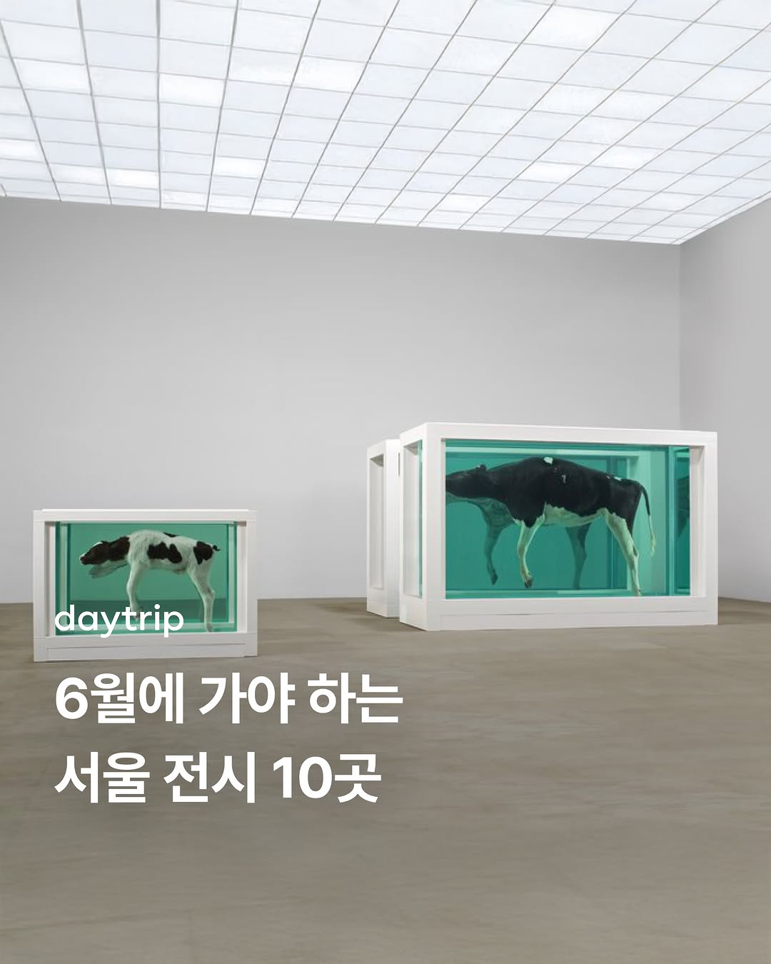 데이트립, SeMA - Seoul Museum of Art
