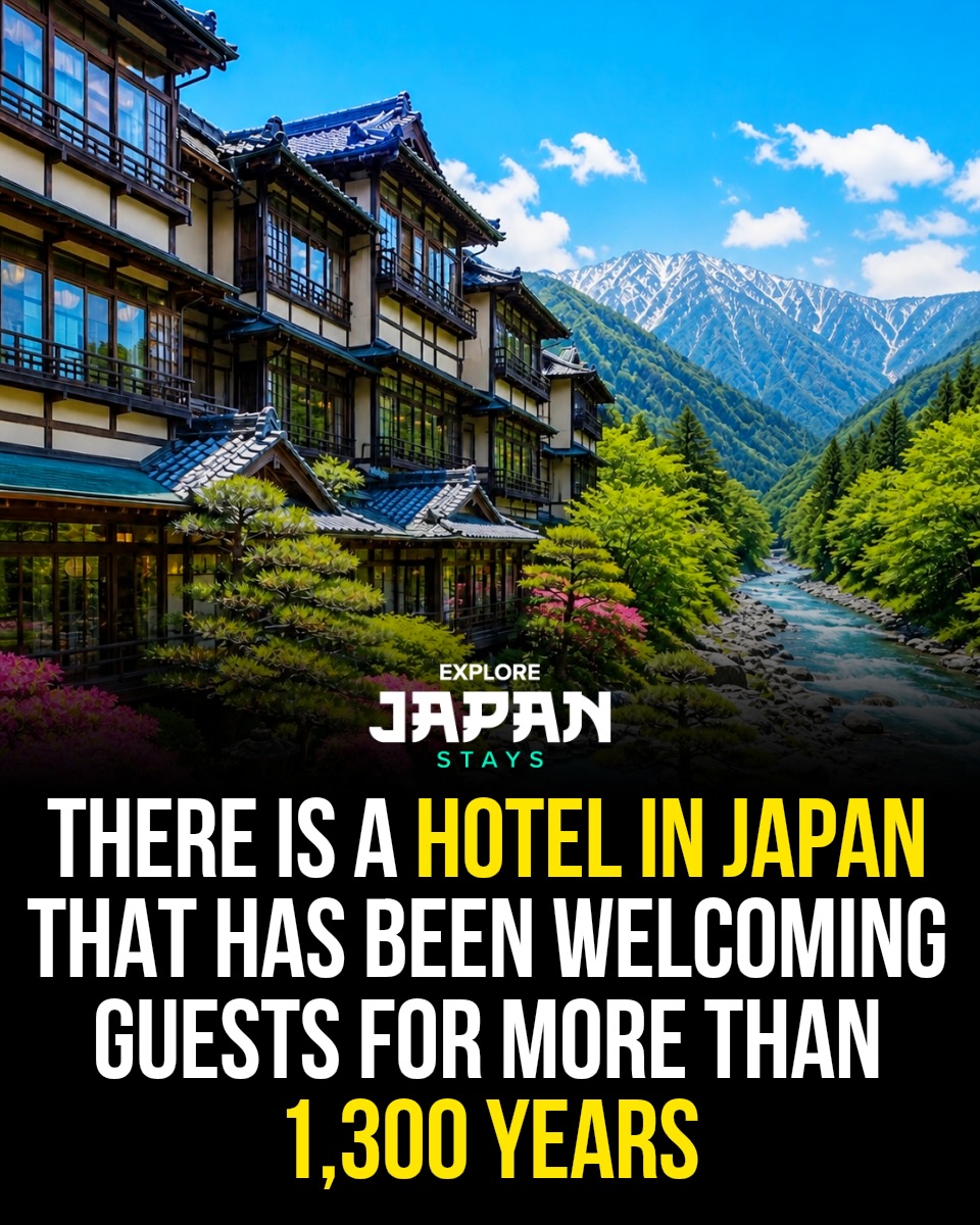 Japan 日本 🇯🇵 Asia Travel | Hotels | Food | Tips, Mount Fuji