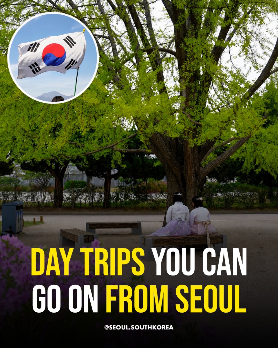 Seoul 🇰🇷 서울 여행 가이드 Travel | Hotels | Food | Tips, Incheon