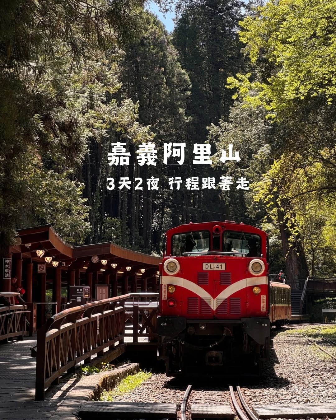 灰灰的 ｜全台｜台北 台中 台南 宜蘭 住宿旅遊, Alishan National Forest Recreation Area