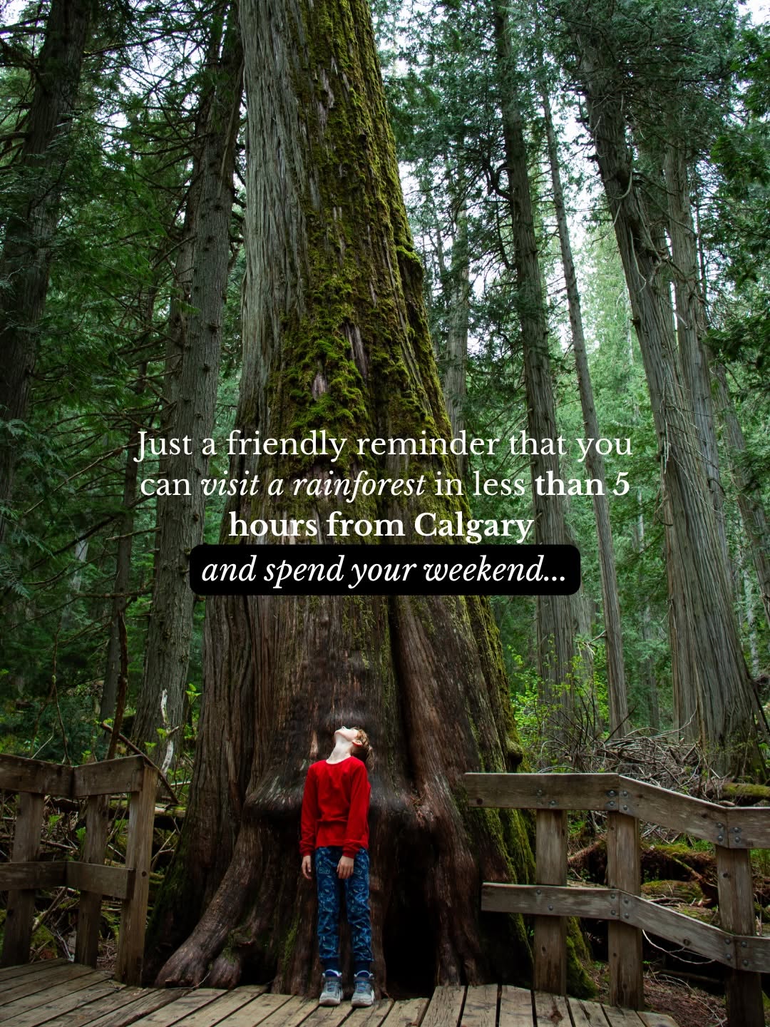 Emilie | 🇨🇦 Road Trips & Adventure Travel with Kids, Meadows in the Sky Parkway
