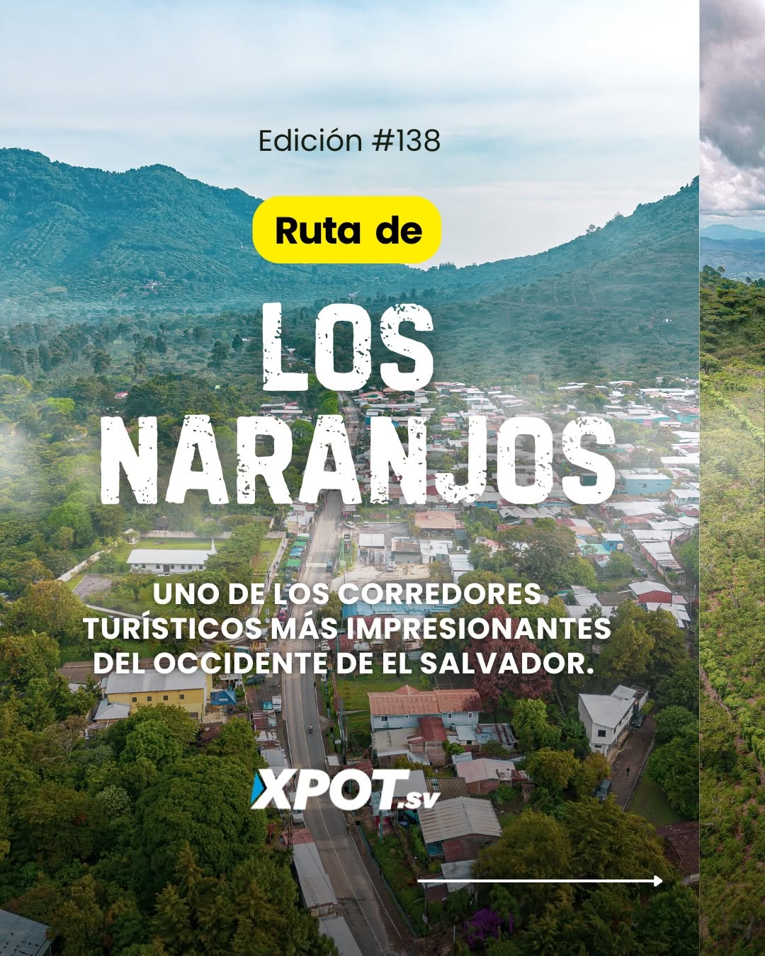 Xpot, Los Naranjos Town Houses • Los Naranjos