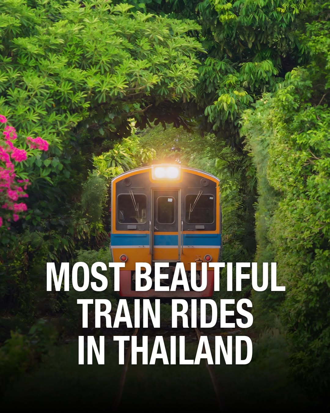 Worldpitou | Luxury Travel • Guides • Itineraries, Ayutthaya Historical Park Office