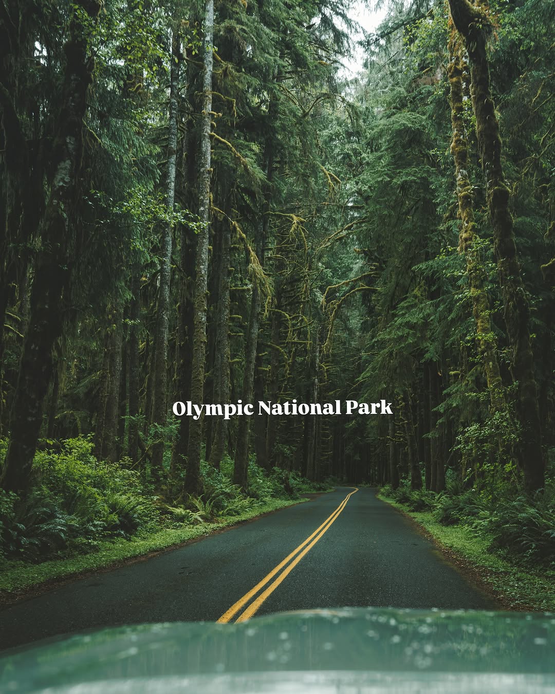 Justin Bushaw, Olympic National Park