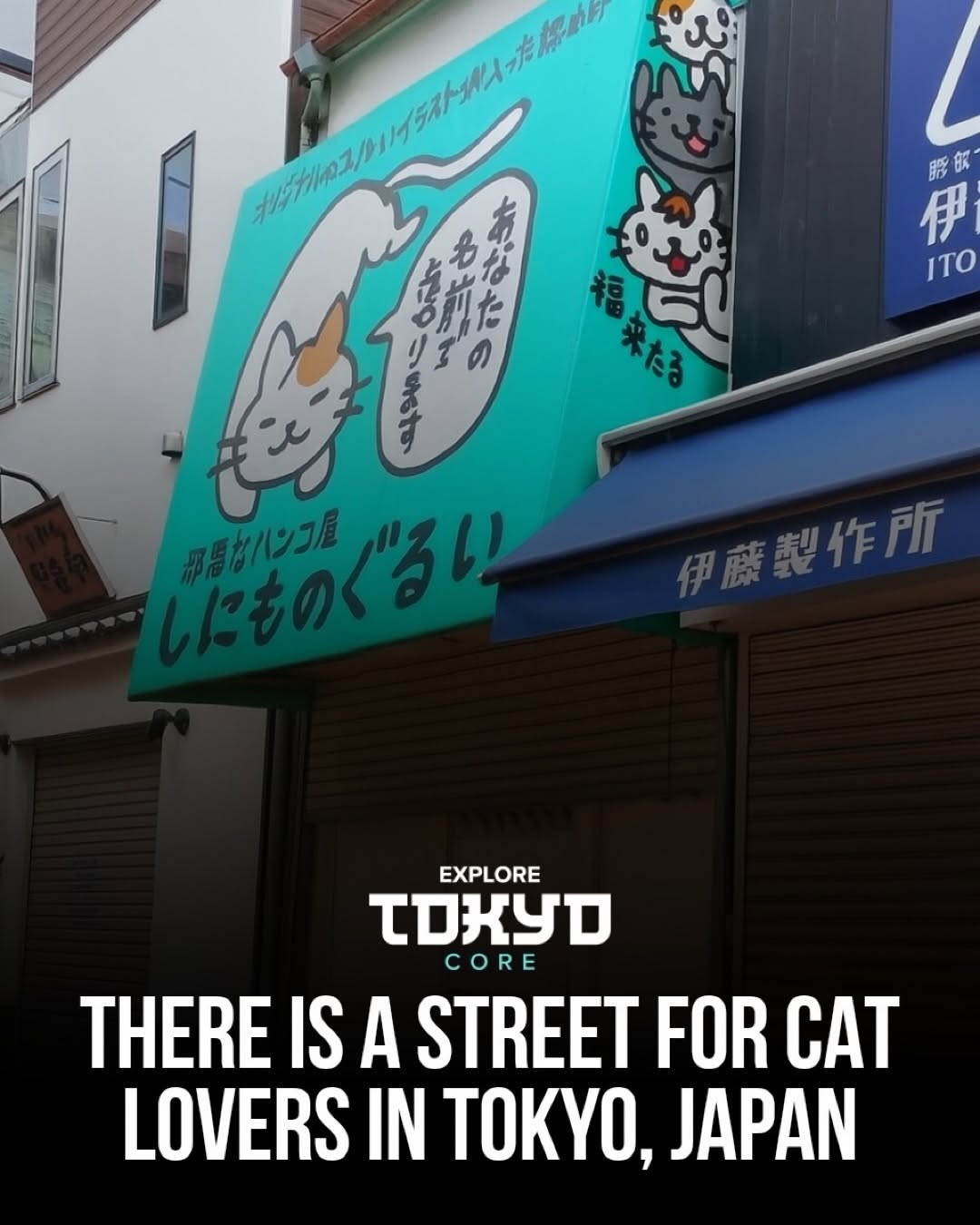 Tokyo, Japan🇯🇵 东京 Travel | Hotels | Food | Tips 🗼, Yanaka Ginza