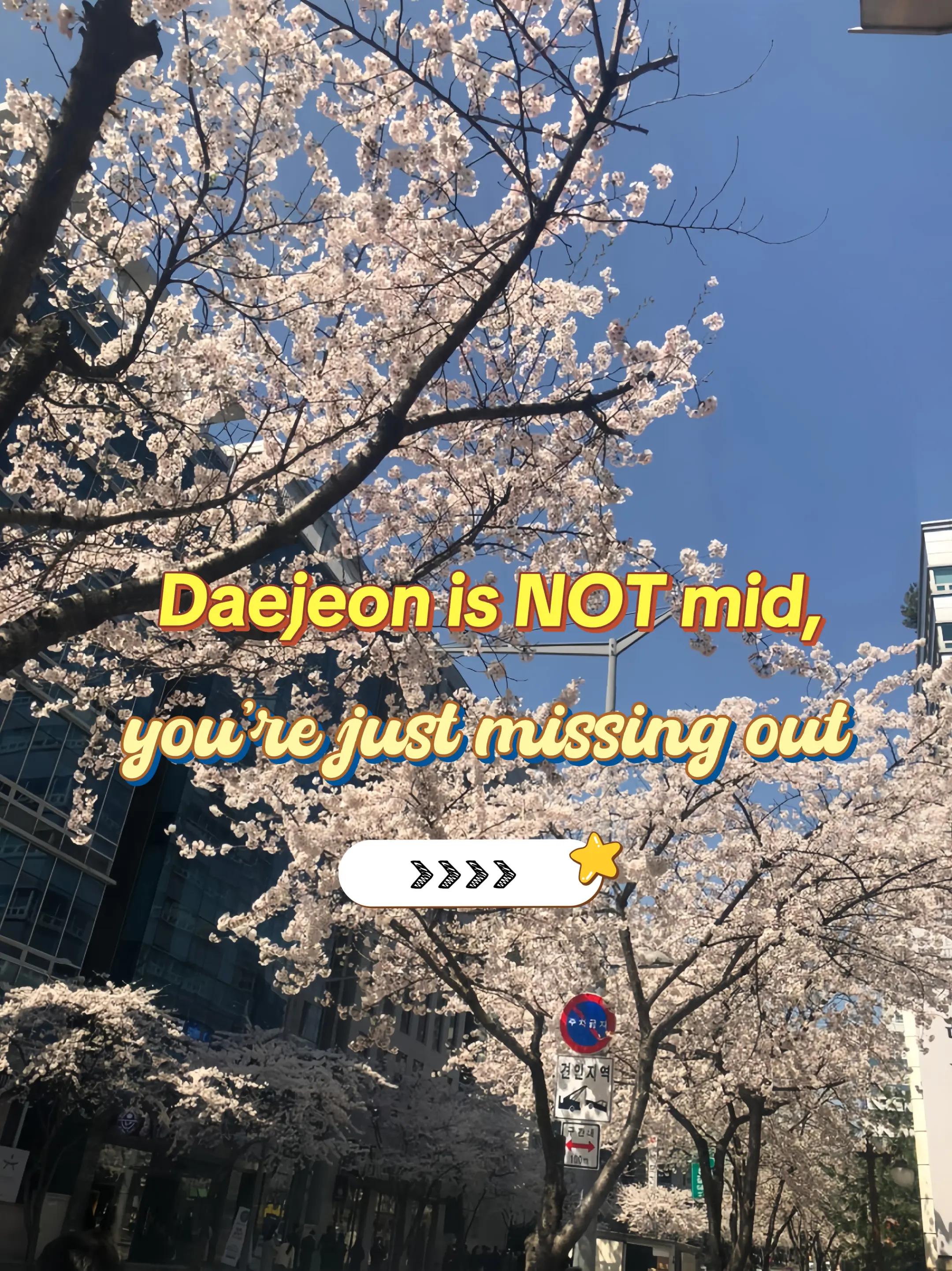 RindiTour🧭, Daejeon Skyroad