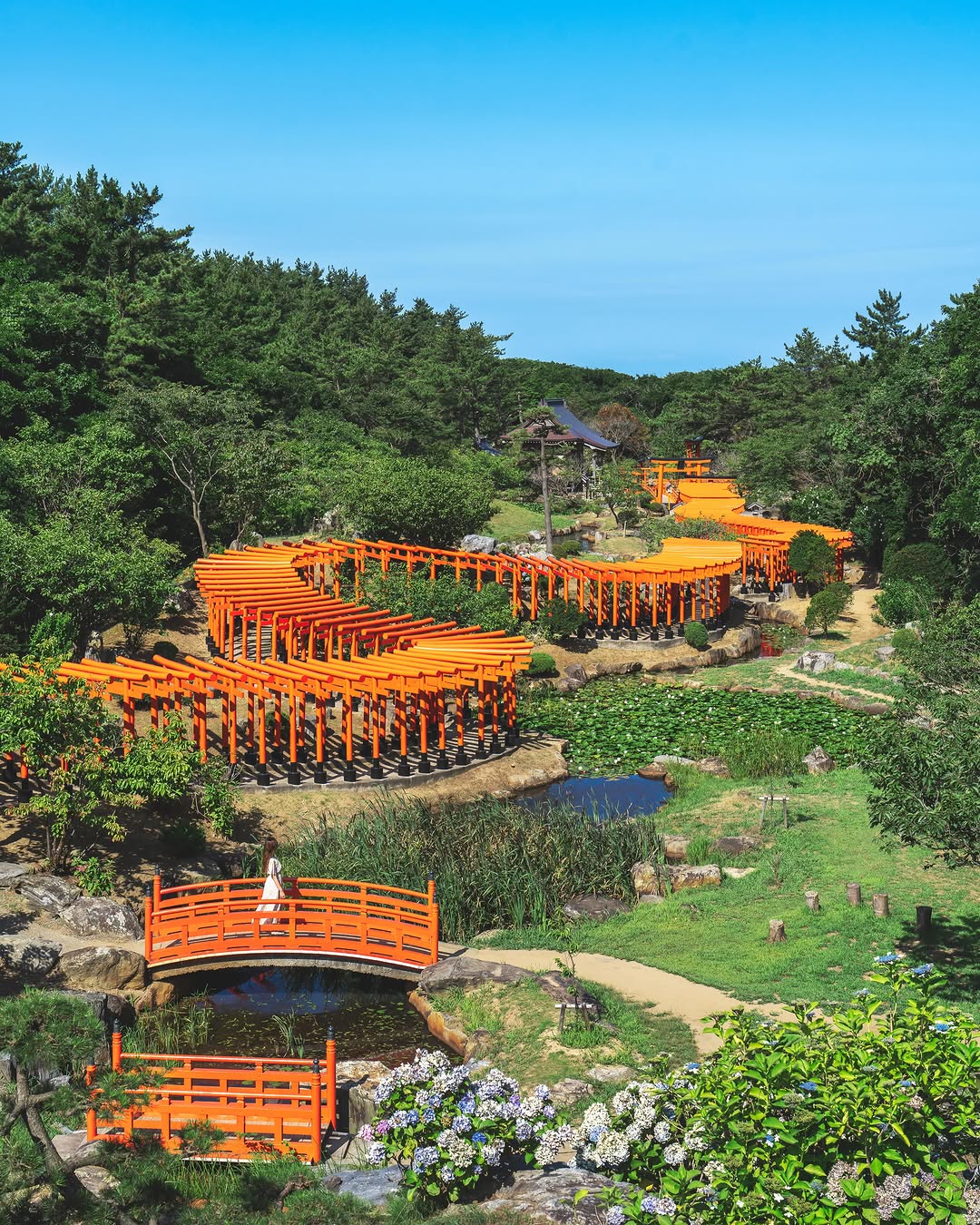 Kyoko  Ueda / Japan Travel, Kabushima jinja Shrine