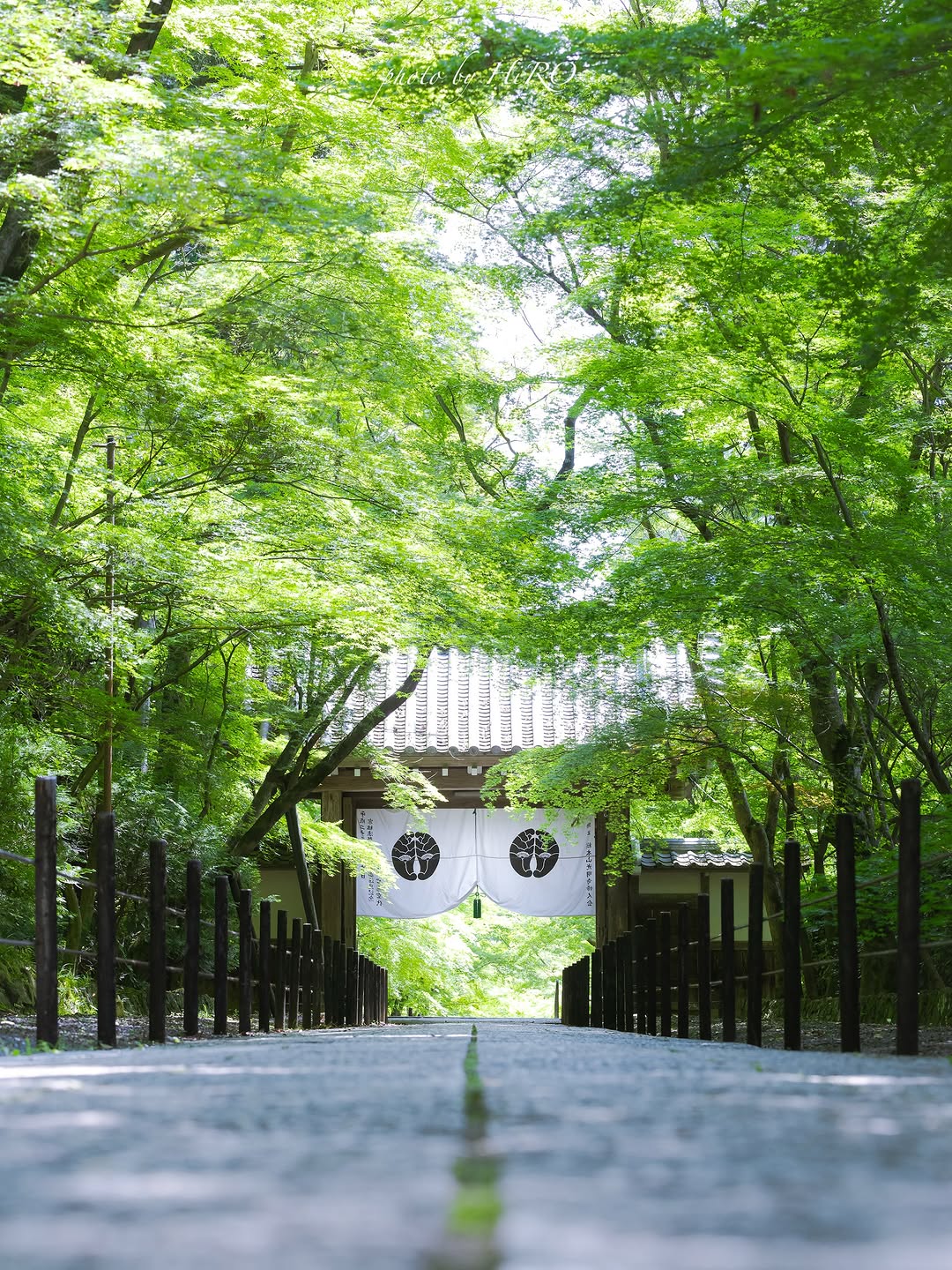 HiRO, Kōmyō-ji Temple
