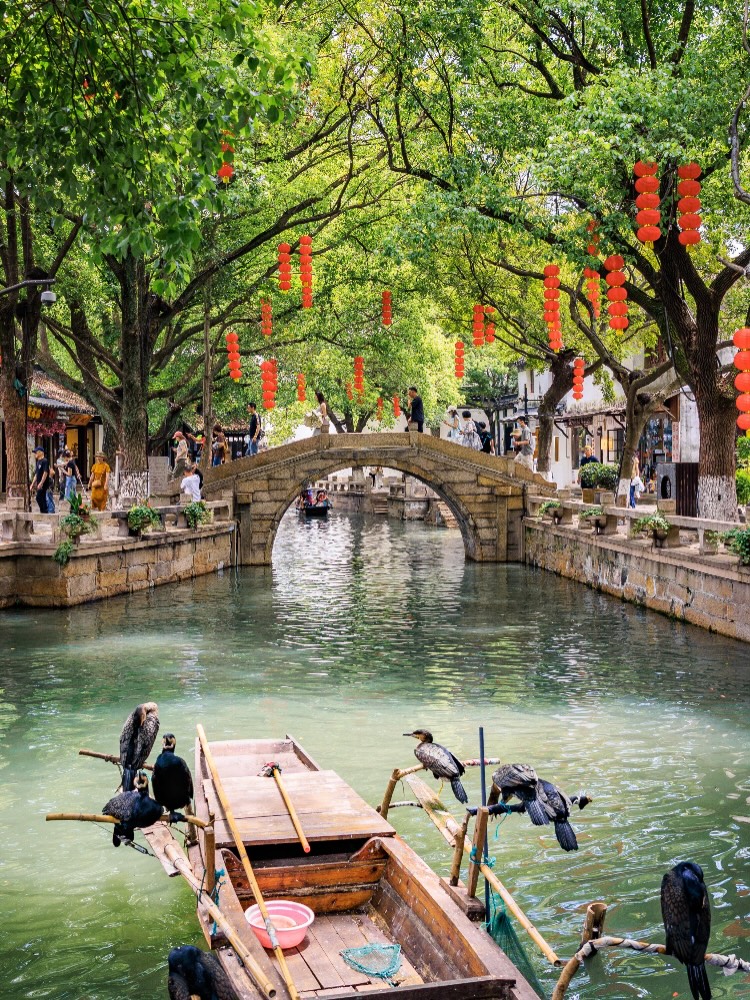 jasmine_pirsch 张恩心, Jinghang Waterway