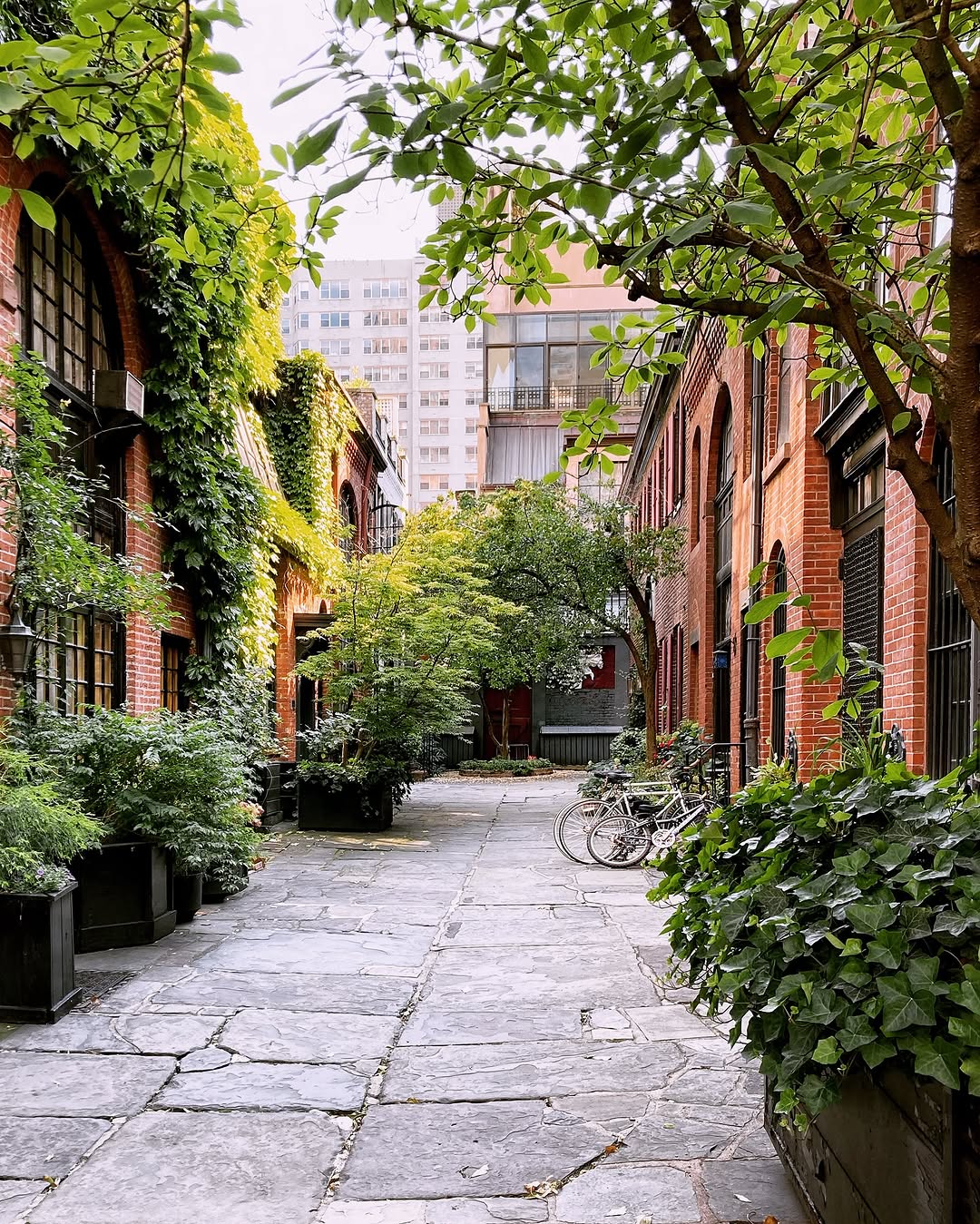 Susan Kaufman, Sniffen Court