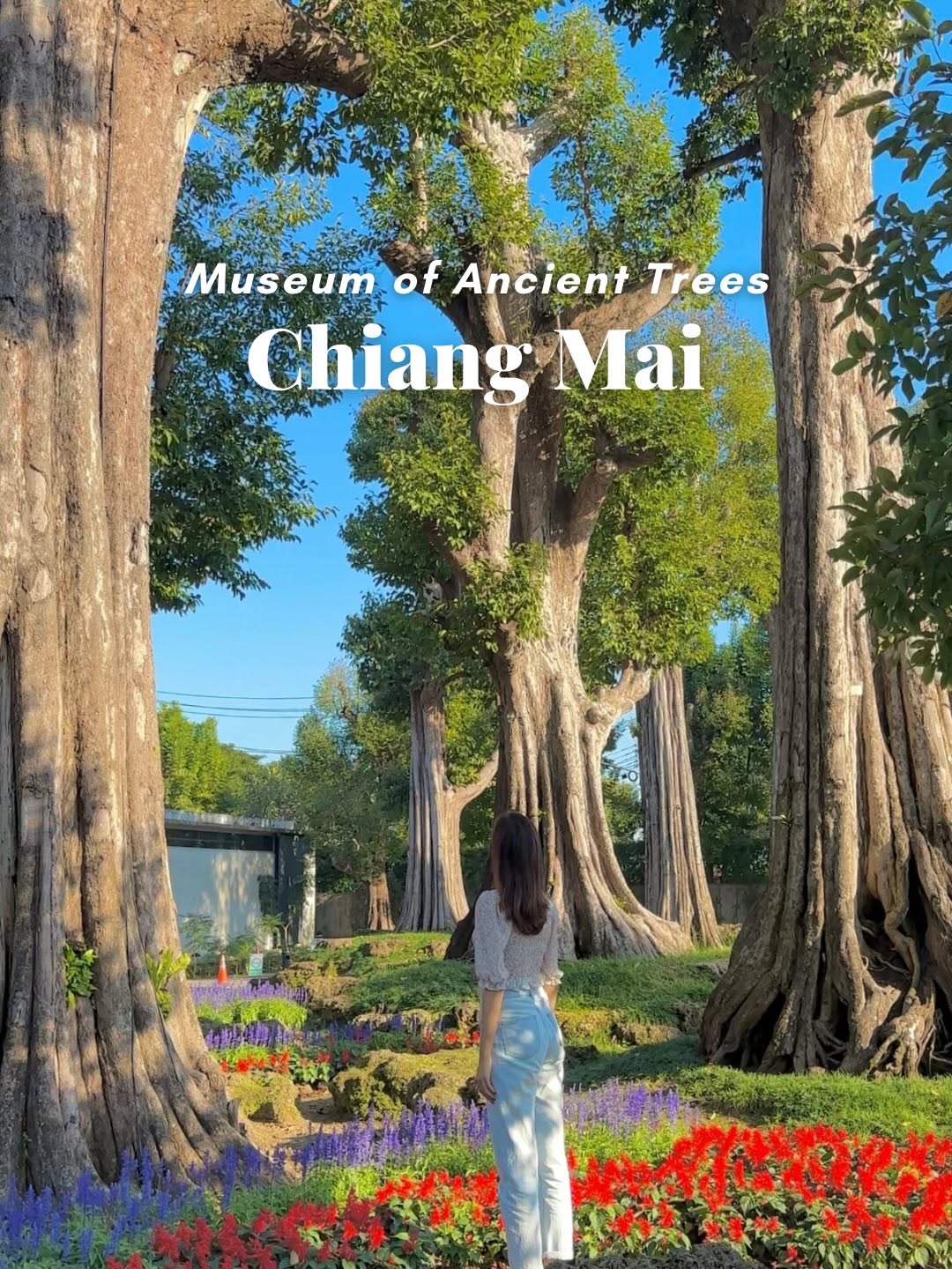 Aman • Hong Kong • Travel, Chiang Mai City Arts & Cultural Center