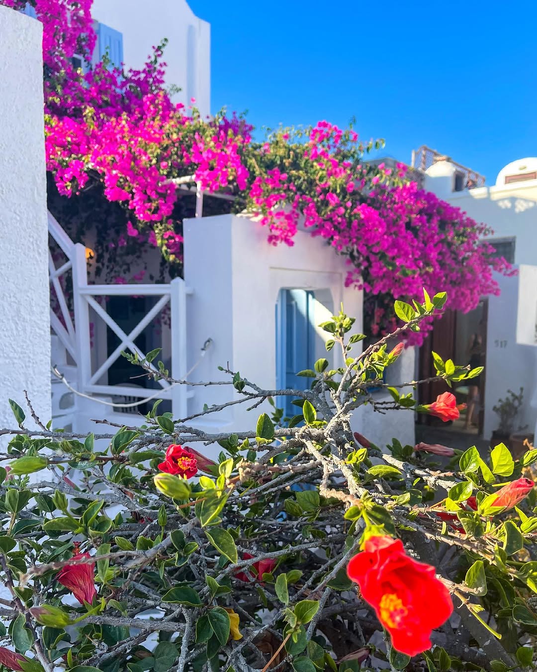 Brenda Sullivan 🇮🇪, 2 Brothers Bar Santorini