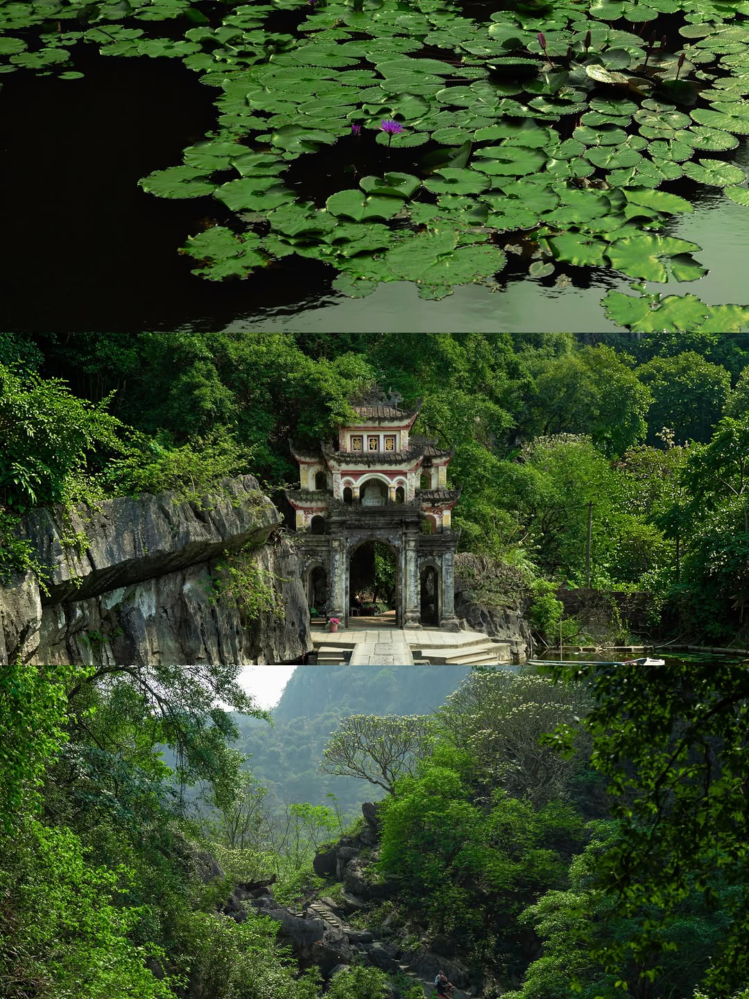 ニン  |  ninh, Bich Dong Pagoda