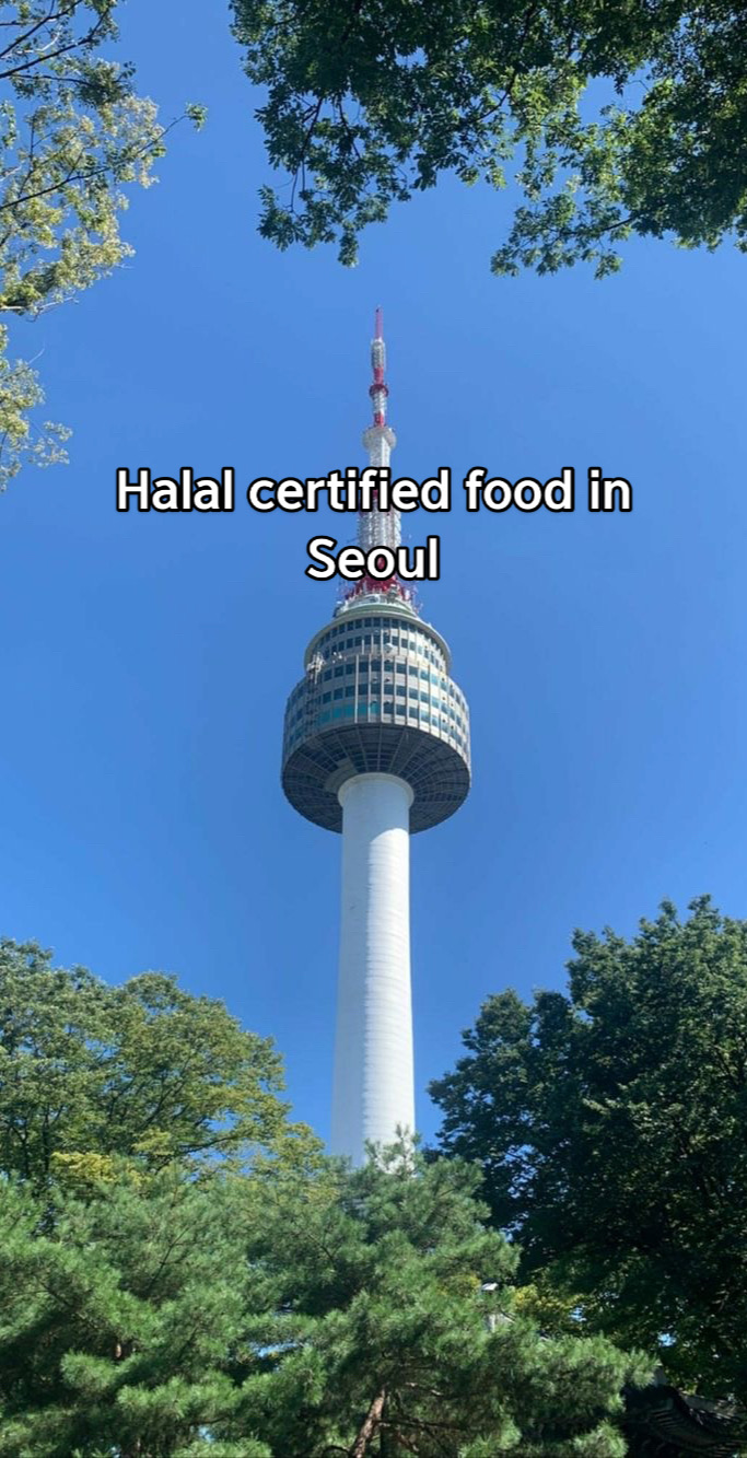 Lurima Travel 🇯🇵🇰🇷🇨🇳🇻🇳, N Seoul Tower