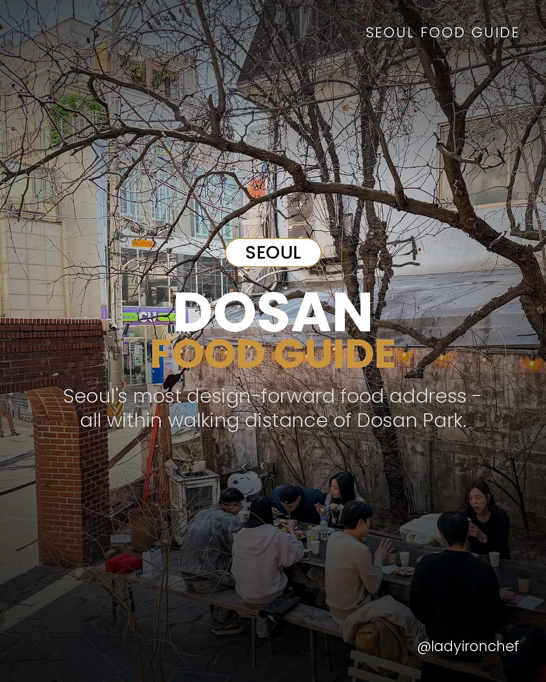 ladyironchef, Dosan Park