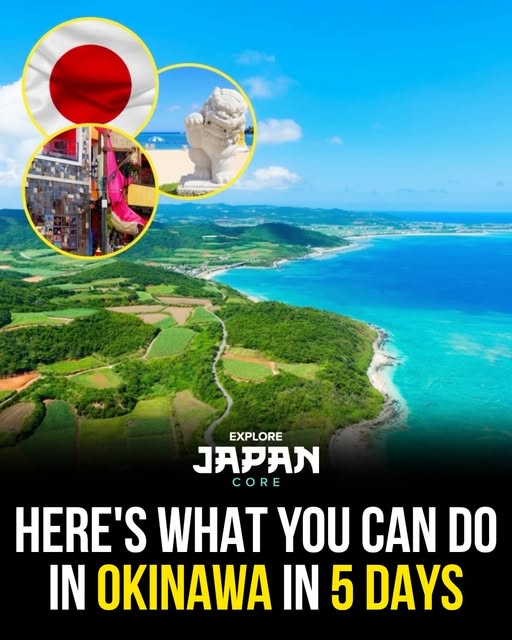 Japan 日本 🇯🇵 Asia Travel | Hotels | Food | Tips, Shuri Castle