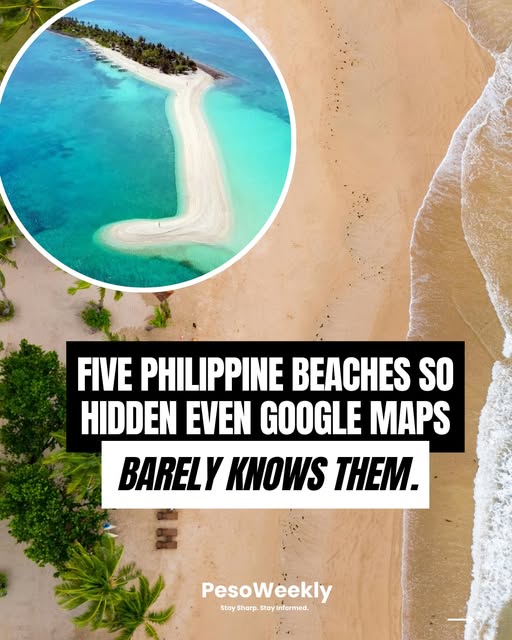PesoWeekly, Puerto Princesa