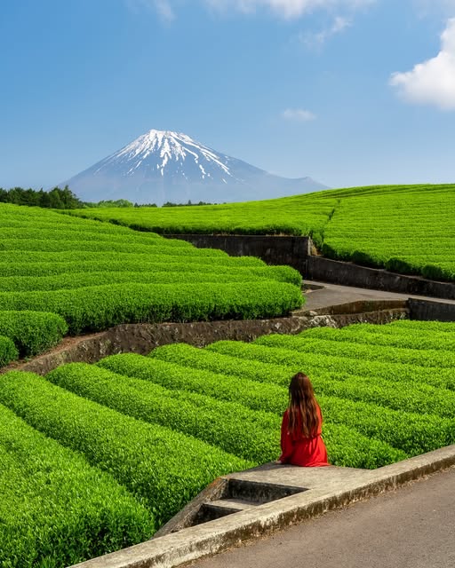 Kyoko  Ueda / Japan Travel, Mount Fuji