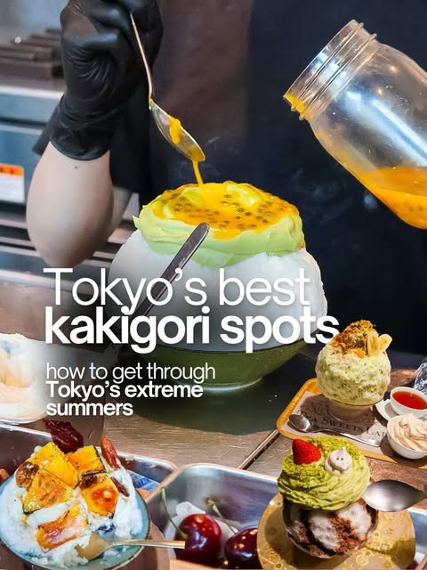 Japan Food Travels, Sulbing Café Harajuku