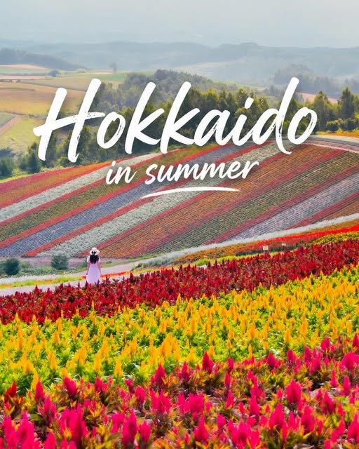 𝐄𝐦𝐢𝐥𝐲【Japan Café Travel Life・カフェやお出かけ】, Panoramic Flower Gardens Shikisai-no-oka