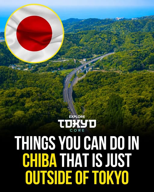Tokyo, Japan🇯🇵 东京 Travel | Hotels | Food | Tips 🗼, Tokyo Disneyland
