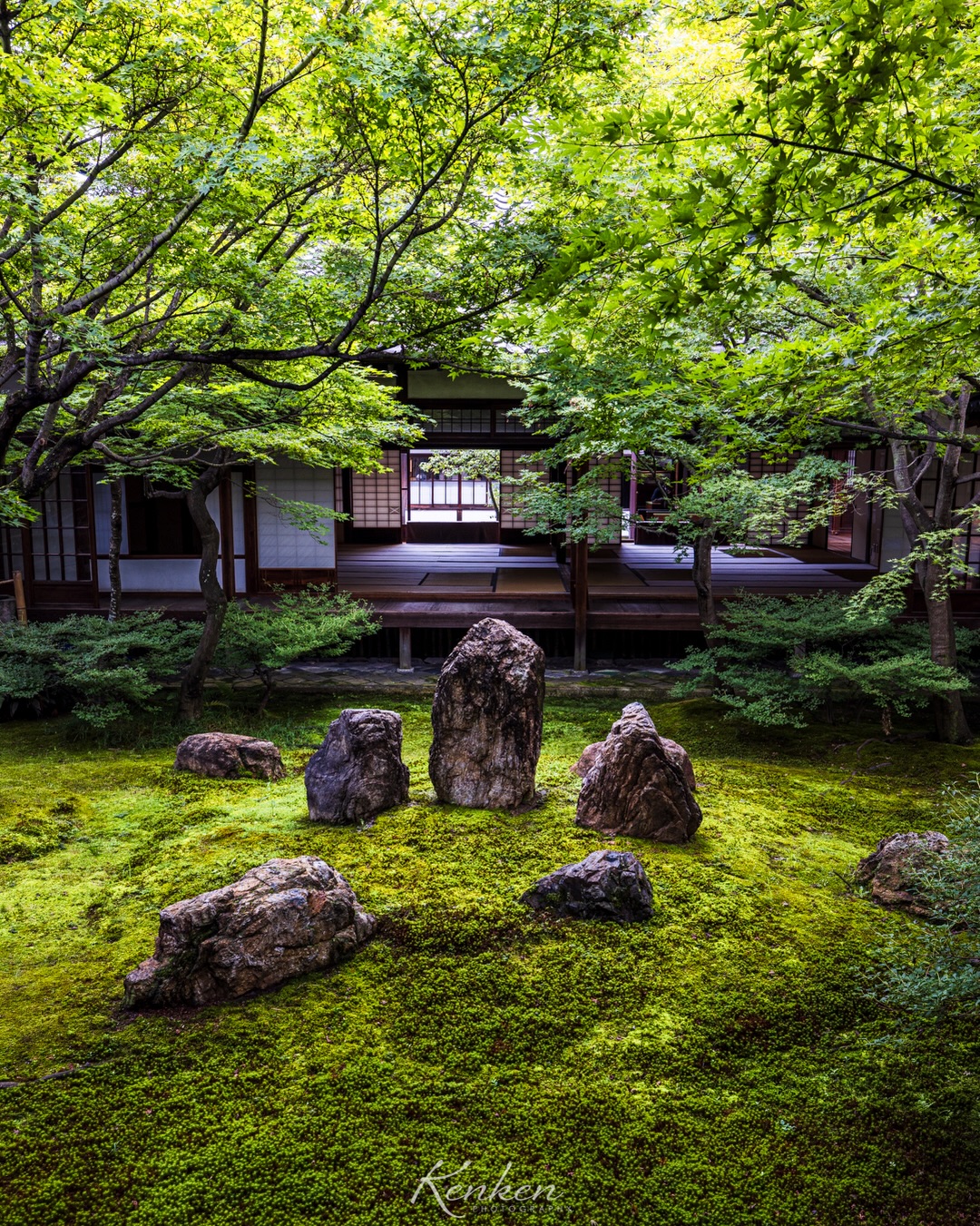 Sawai Kenta / 澤井 健太, Kenninji Temple