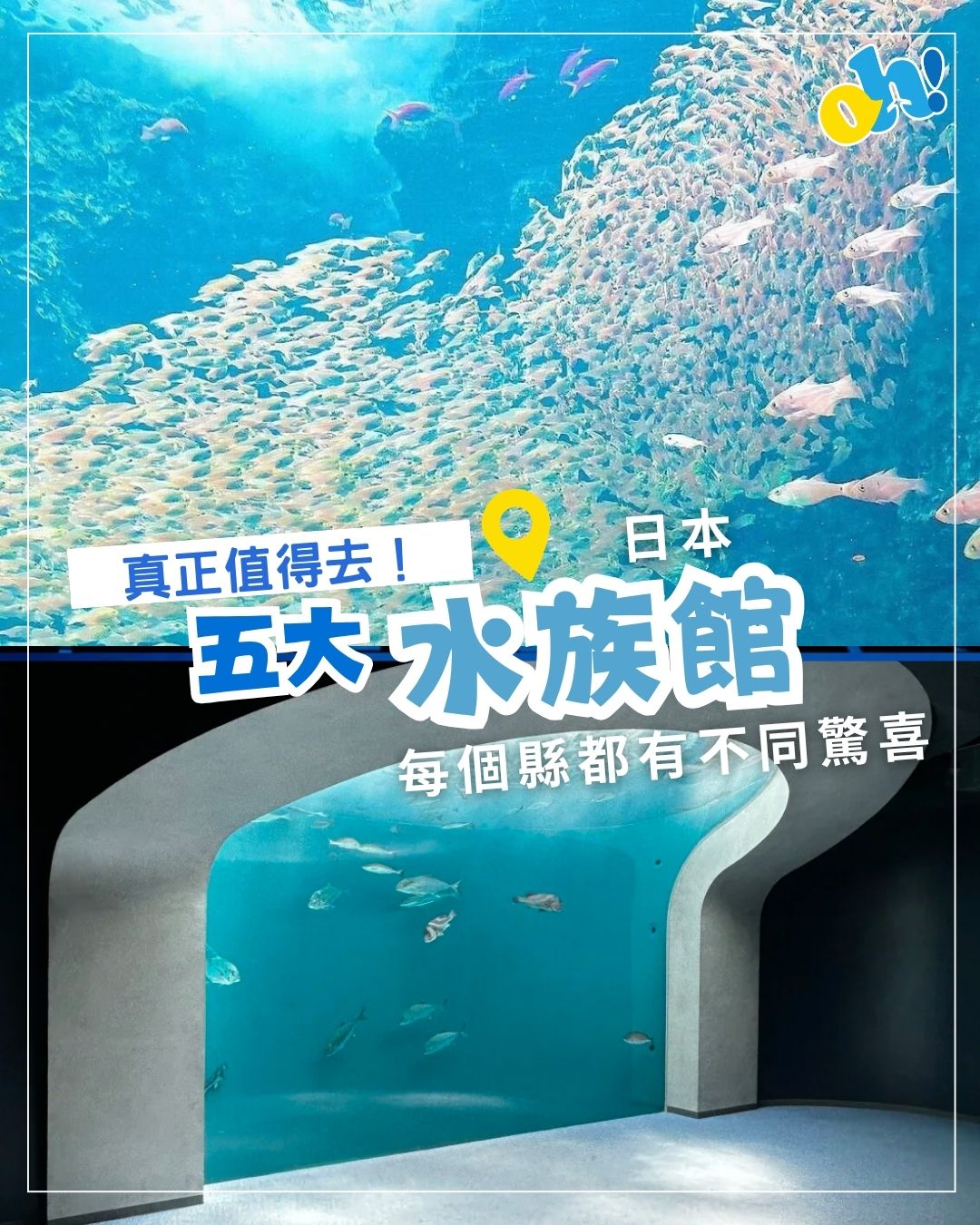 放假去邊 OpenHolidays, Port Of Nagoya Public Aquarium
