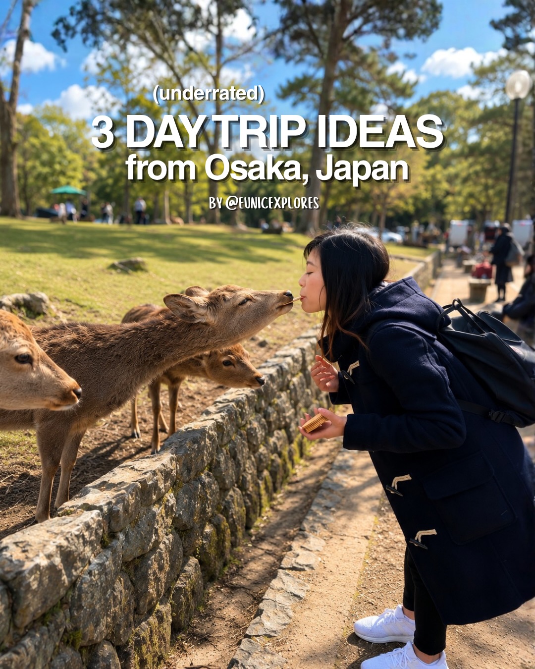 eunice | food + travel 🤠, Hiroshima Castle