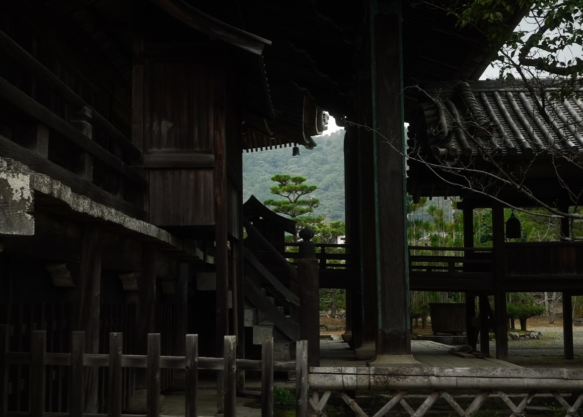 Anita 安妮, Arashiyama