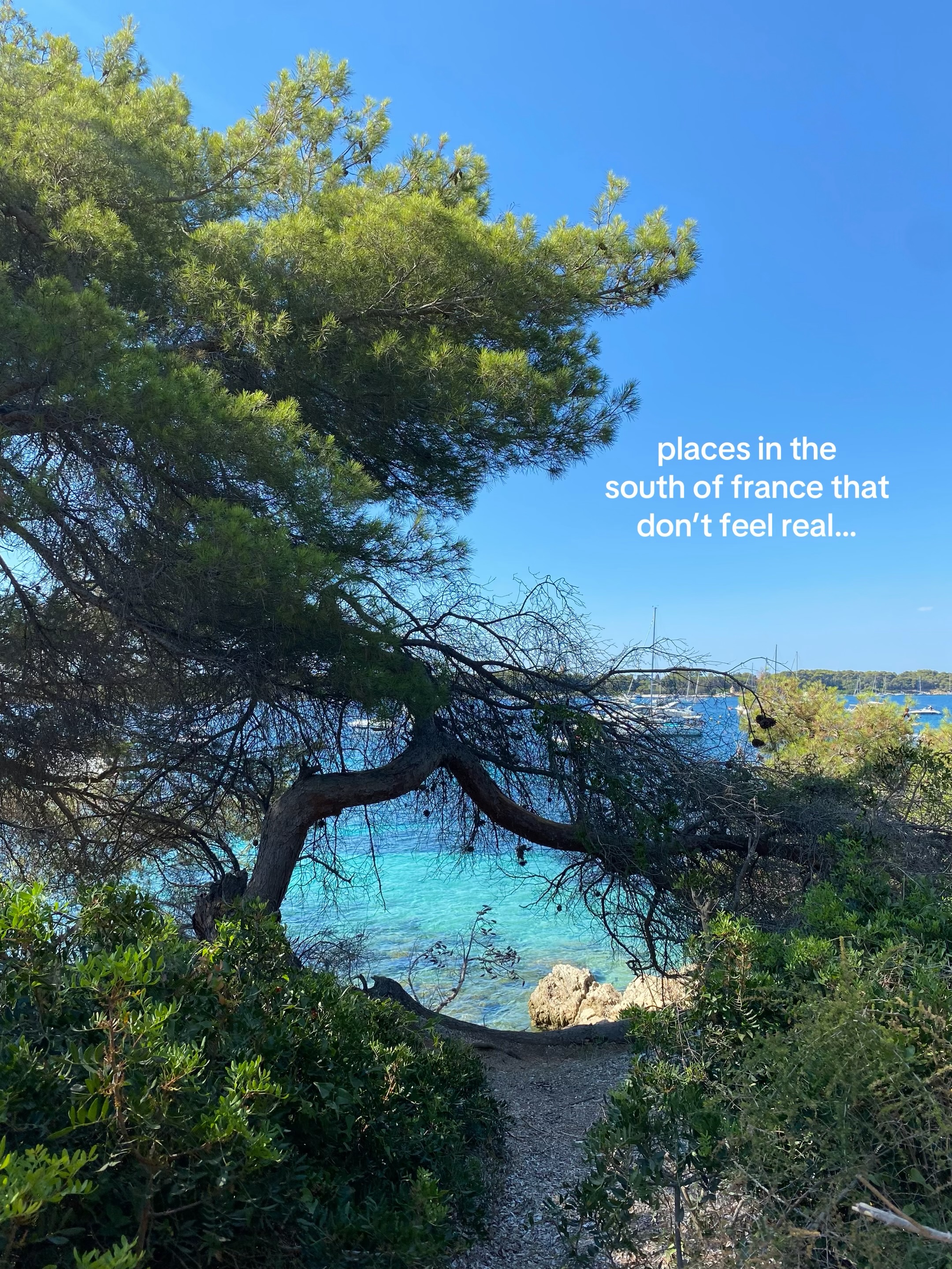 Mia Overington, Bay of Antibes Billionaires
