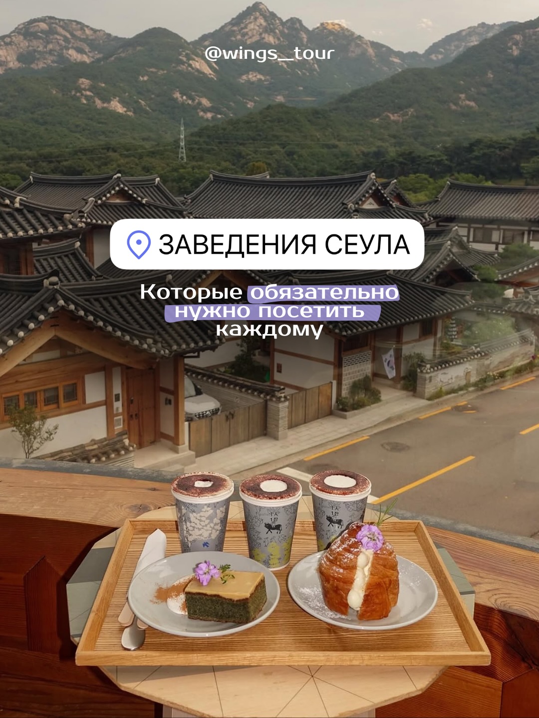 WINGS TOUR | ТУРЫ | Твой проводник в Южную Корею, Thanks Nature Cafe