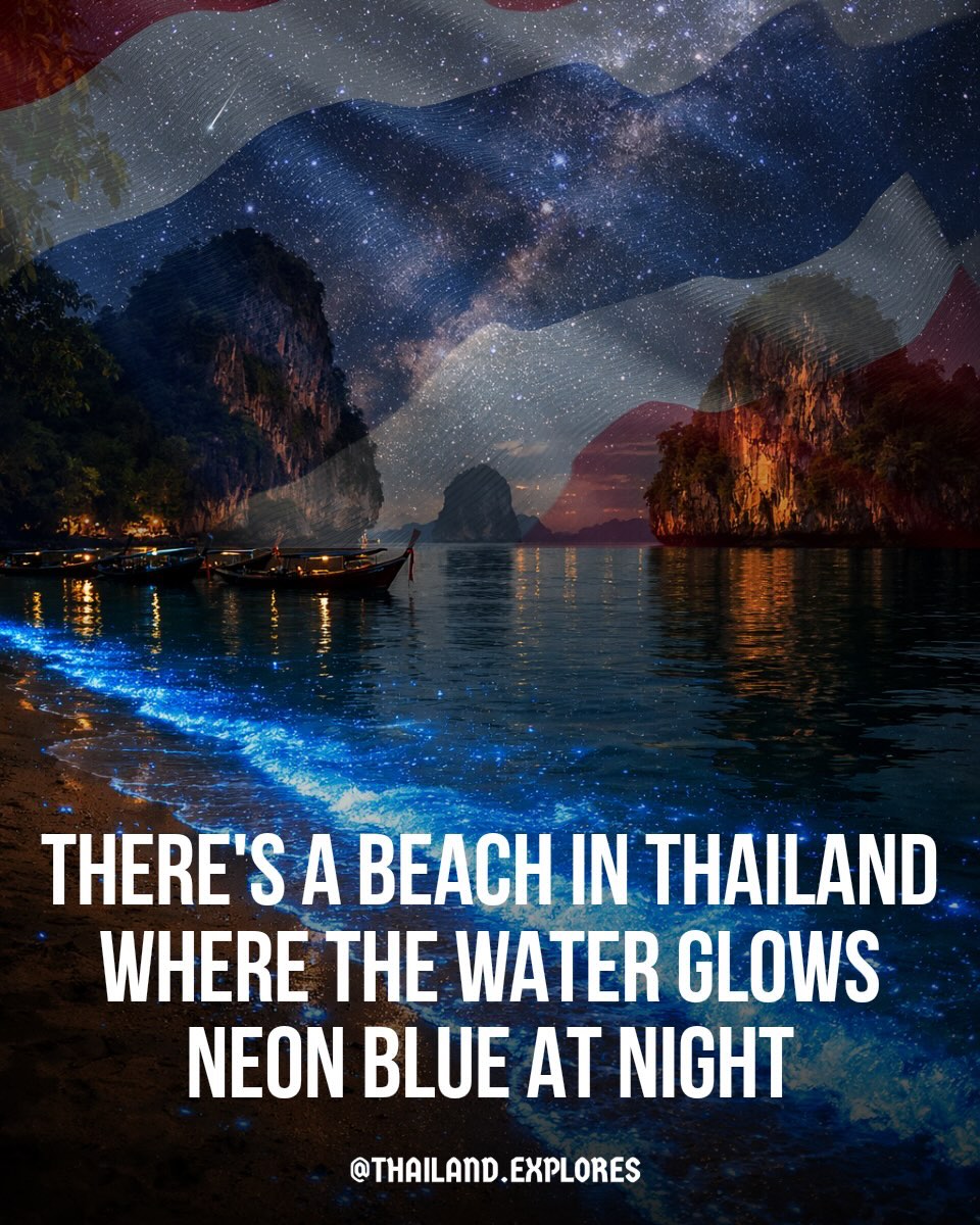 Thailand ๐น๐ญ Travel | Hotels | Food | Tips, Phi Phi Islands