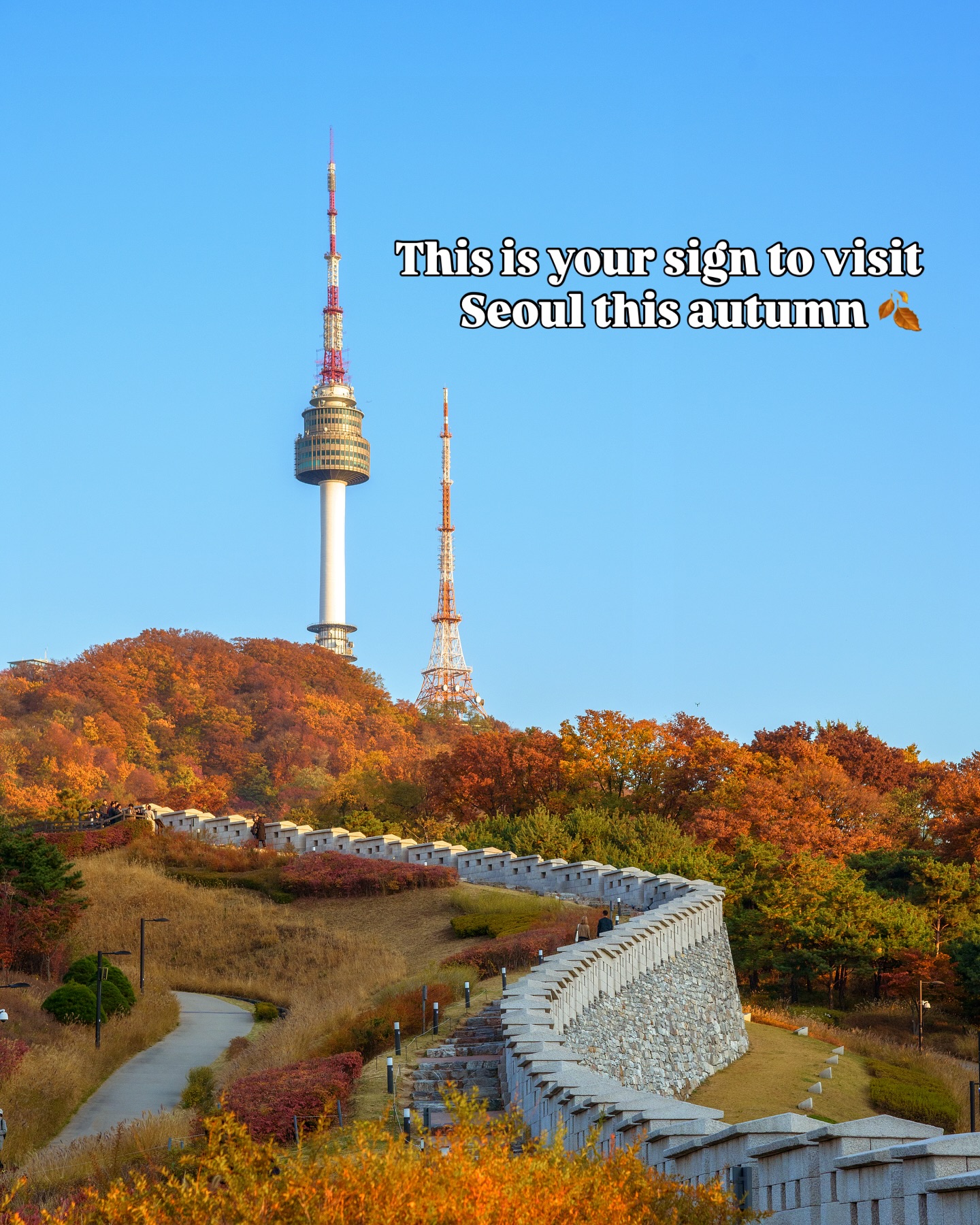 Seoul 🇰🇷 서울 여행 가이드 Travel | Hotels | Food | Tips, Gyeongbokgung Palace