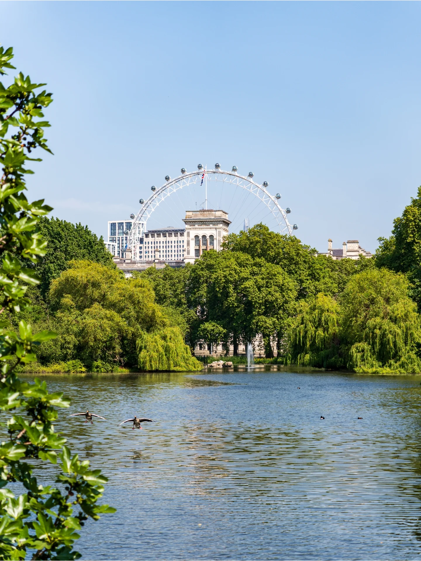 Matt Boyd | Photography 📷, London Eye