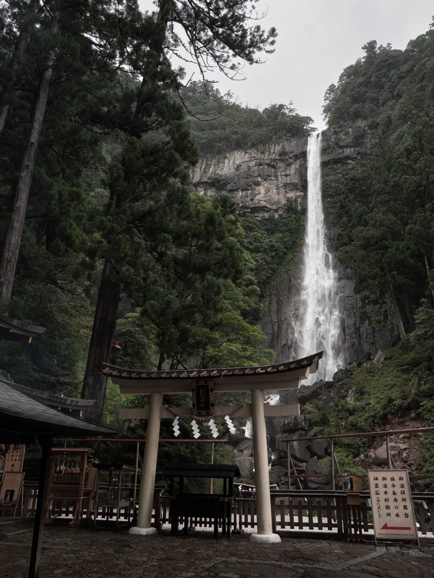 トモ/ Tomoyuki Hasegawa, Hiro Shrine