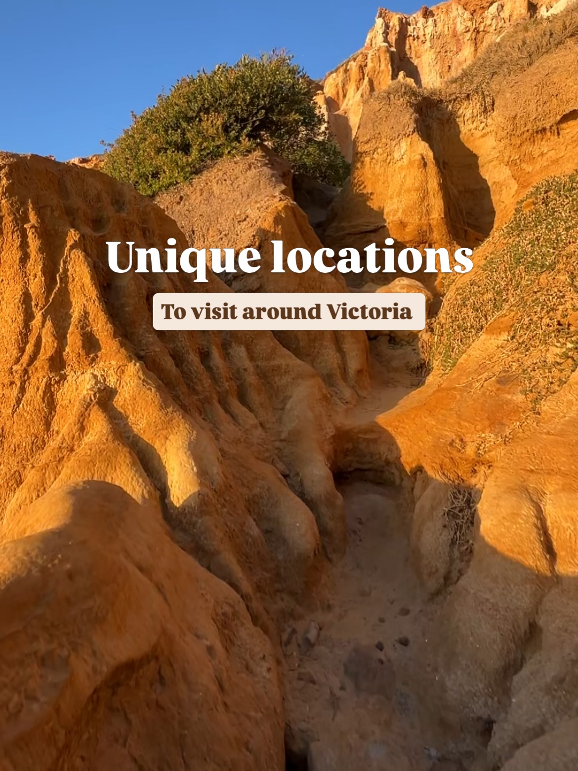 Helen B | Travel & Lifestyle, Gibson Steps