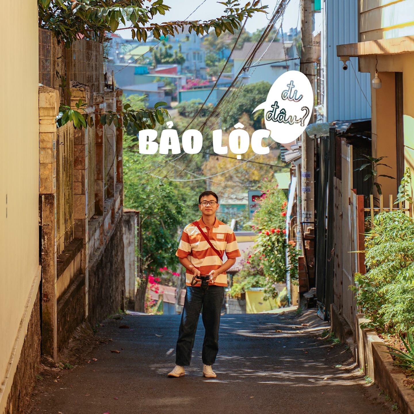 Hoàng Vương, Đồi Chè Bảo Lộc