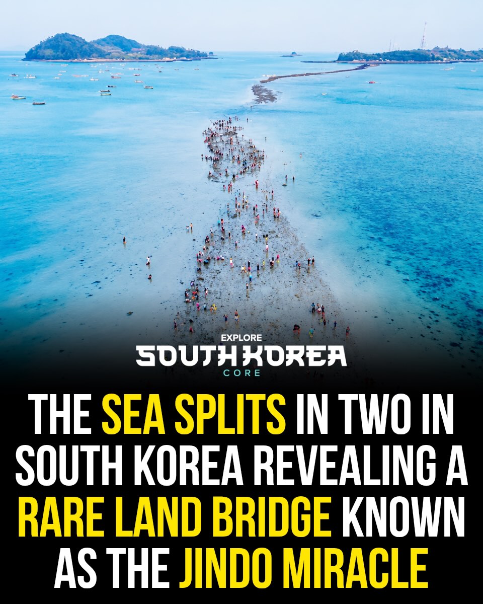 South Korea 🇰🇷 | Travel | Hotels | Food | Tips, Jindo