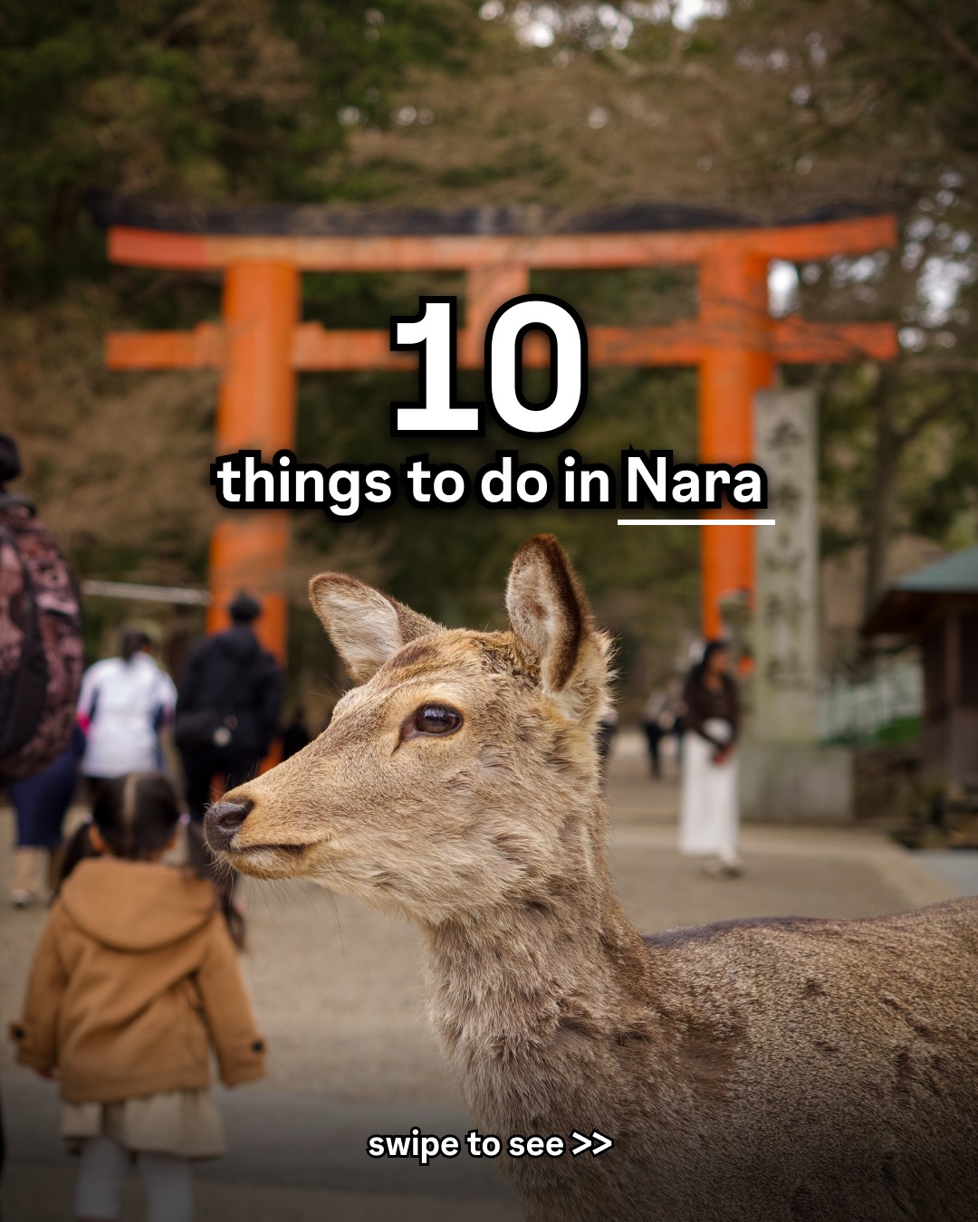 Elis | Travel Guides & Hidden Places, Nara Park
