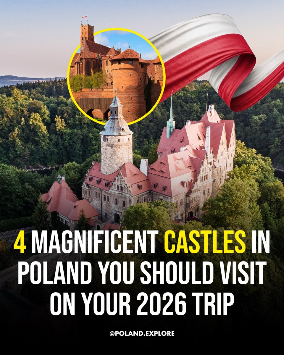 Poland 🇵🇱 Polska Travel | Hotels | Food | Tips, Wawel Royal Castle