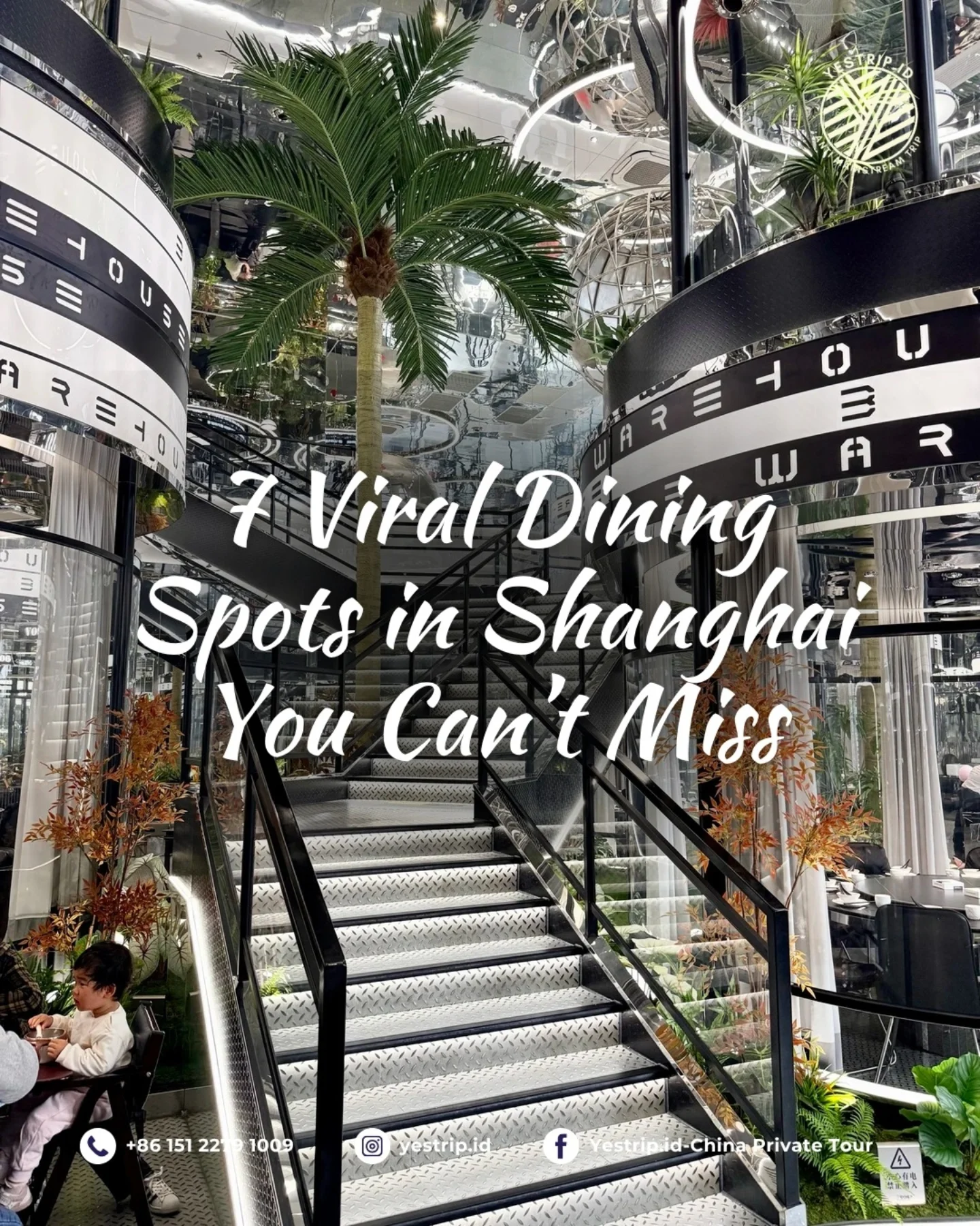 China Private Tour | 1000++ cust a year, Alimentari & Degusteria