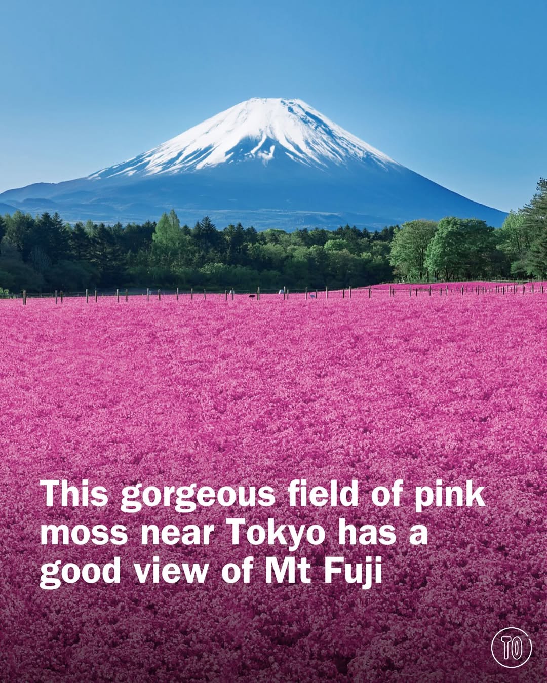 Time Out Tokyo, Mount Fuji