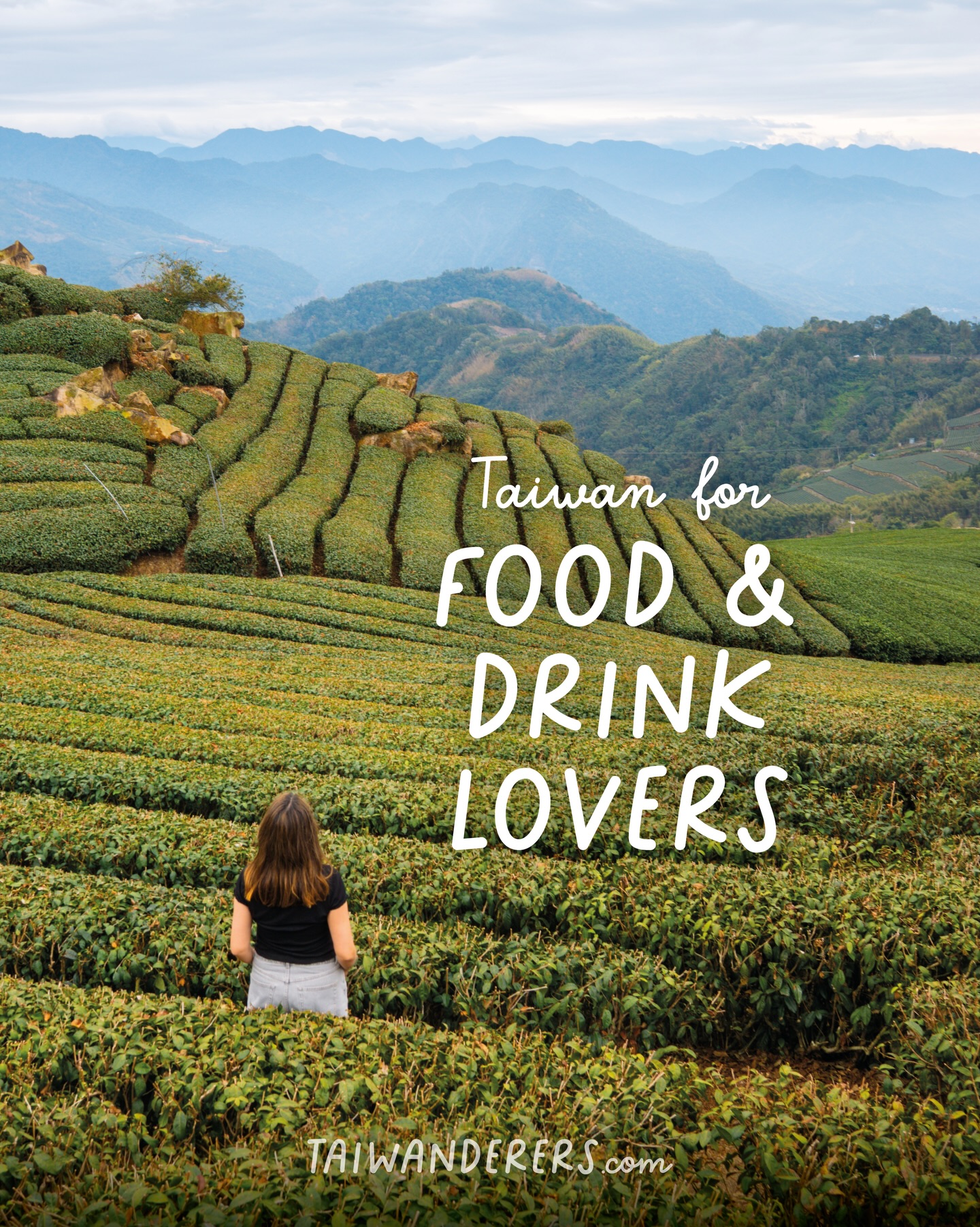 Taiwan Guide 🇹🇼 | Taiwanderers, Taipei 101 Shopping center