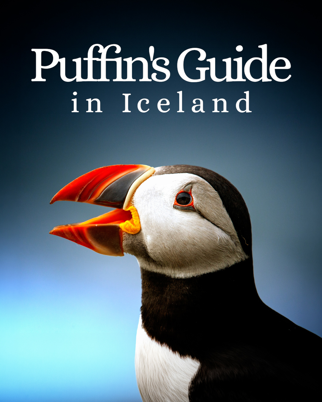 Katlatrack · Ice Cave Tours, Látrabjarg