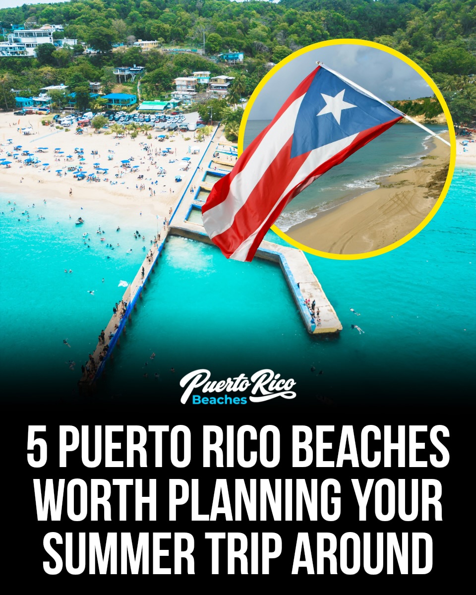 Puerto Rico 🇵🇷 Travel | Hotels | Food | Tips, Flamenco Beach