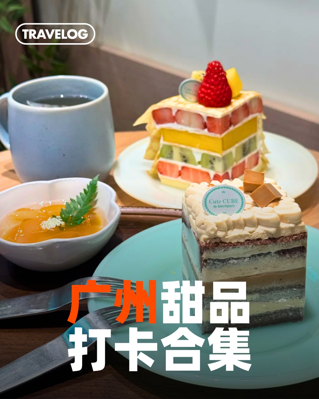 TRAVELOG 旅书假期, Knot Knot