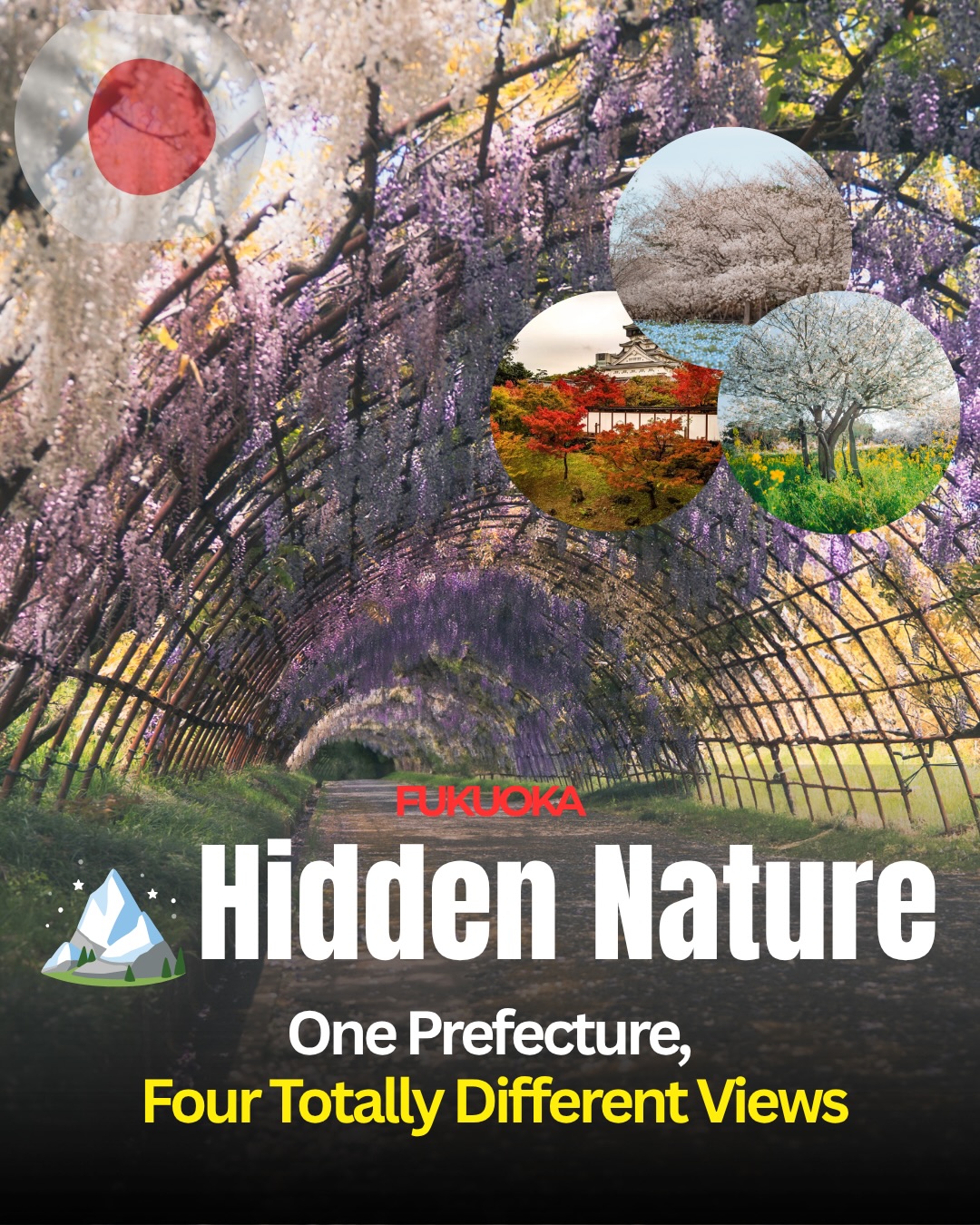 Come To Fukuoka | Local Guide, Kawauchi Fujien