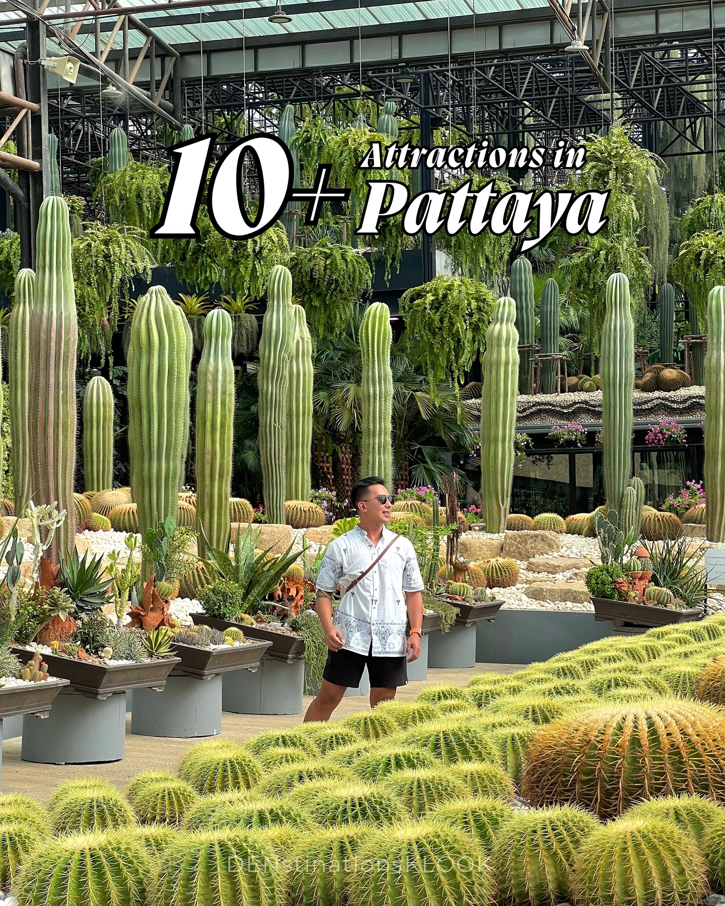 Denver Choi, Pattaya View Point (Pattaya City Sign)