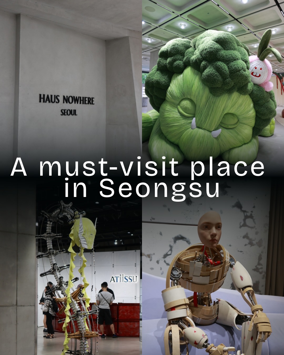Jiwon ⋆* seoul tour guide ⋆ Korea travel concierge, NUDAKE Haus Dosan